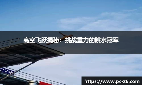 高空飞跃揭秘：挑战重力的跳水冠军